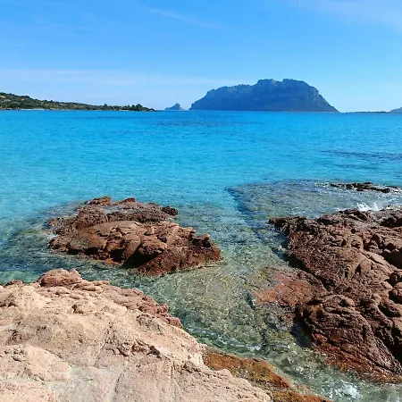 Domo Ruia - Red House Porto Istana